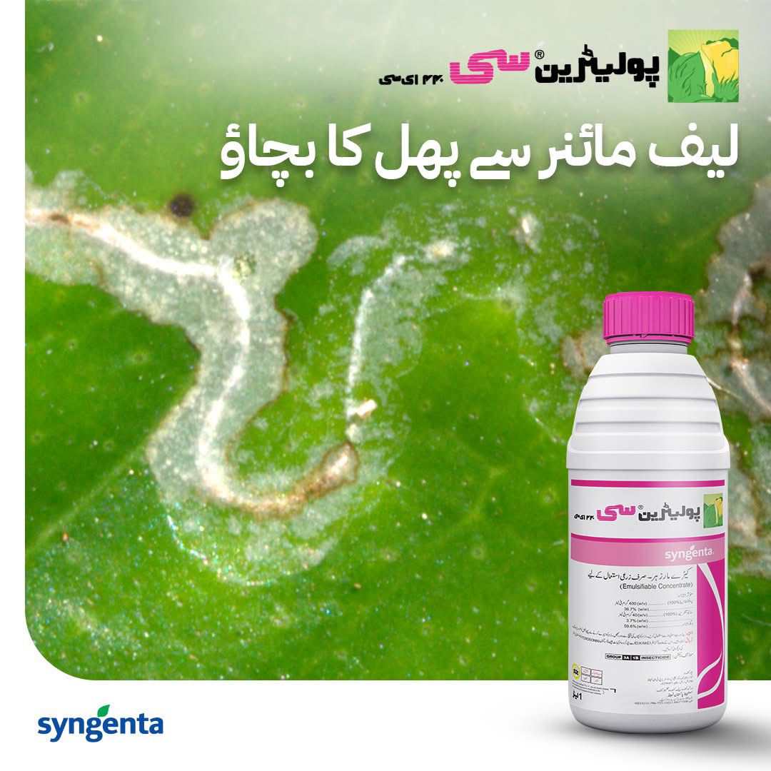 Polytrin C 440 EC - Image 4