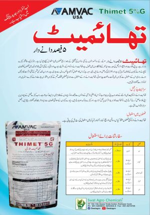 Thimet 5G - Image 2