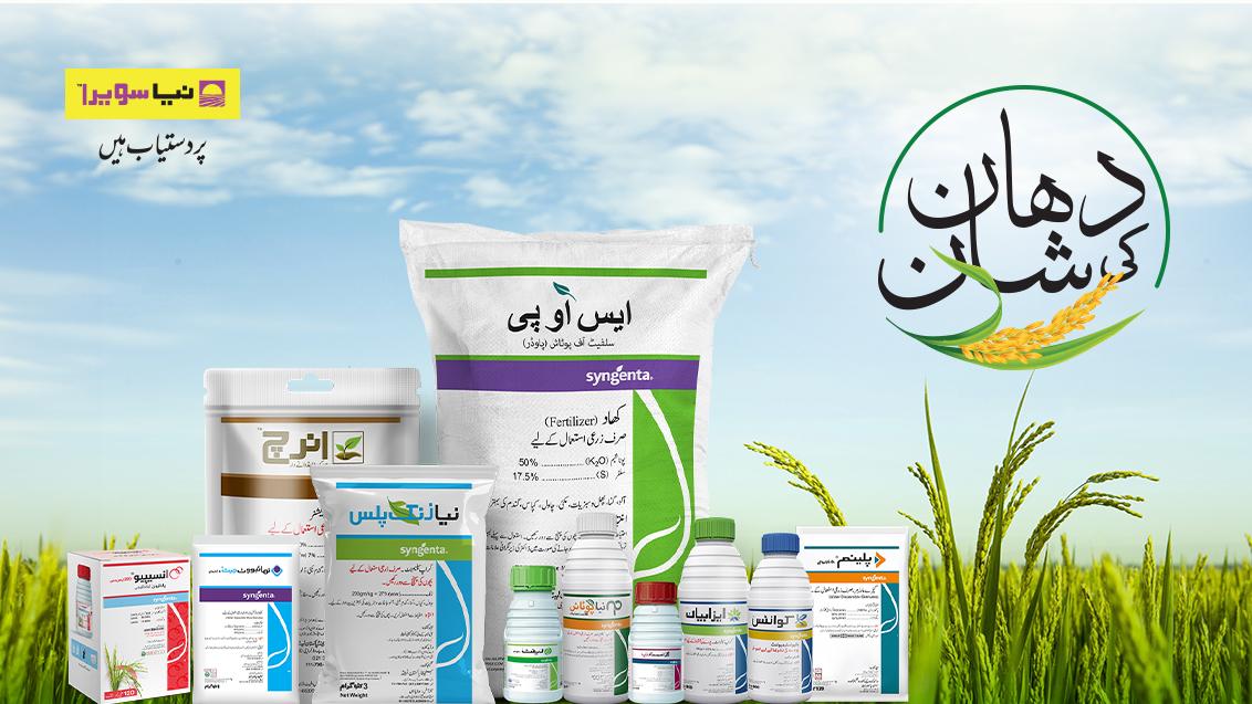 dhaan-ki-shaan-banner-1132x637-px-2025