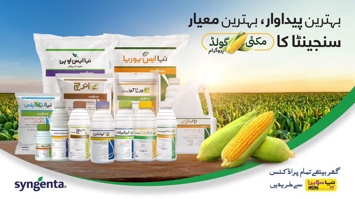 makai-gold-syngenta-banner