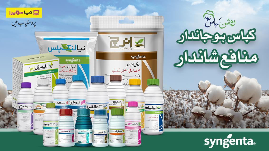 syngenta-roshan_kapass