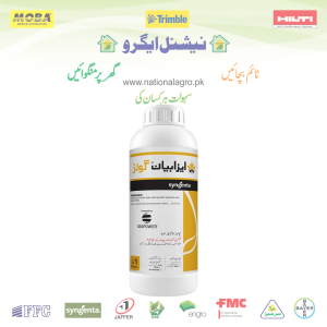 ISABION GOLD